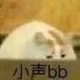 比比迪巴比迪布