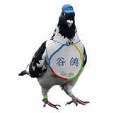 sosoWenga