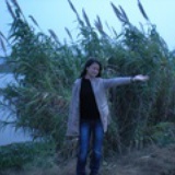 趴在玻璃上的苍蝇