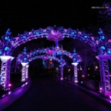 LED1818