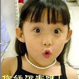 登舟赏菊剽