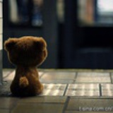 Bear~