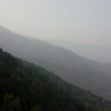 小小翅膀
