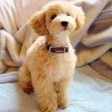Name is L