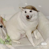 红苹果大福