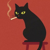 九尾🐈‍⬛
