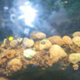 生活1234
