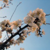 evazou