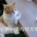 黄色月亮