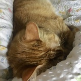 谁都可
