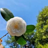 June