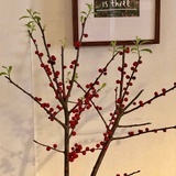 双手插裤兜儿