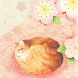 欧拉