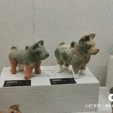 瓦片