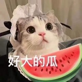 纳兰666