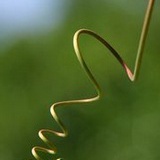 鹅爸爸