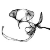 蚊子