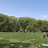 ``尛茳❤Park