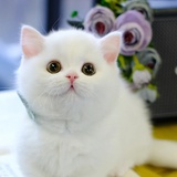 。