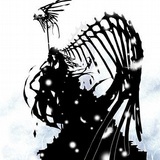 暖羽