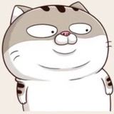 王德发