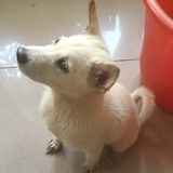 云淡风轻