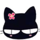 Miss摩卡