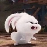 小绵羊