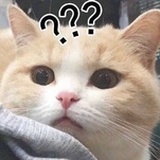 小朋友的问号