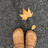 向阳花的小世界