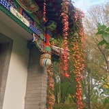 可爱可爱