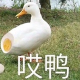 十六夜