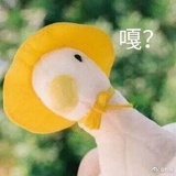 坨坨坨