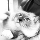 Jun