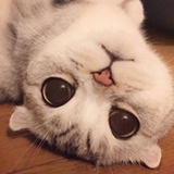 苗MMMM