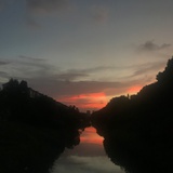 飘