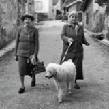 沉迷朱迪不可拔