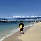 GoGo闯