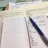晨晨。