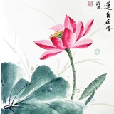 赵奋斗