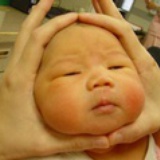 ddt罐头