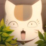 薄荷猫