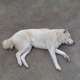 海角在眼前