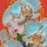 希柚
