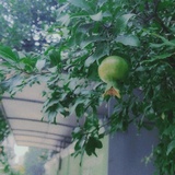 步步
