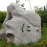 佛爷-36