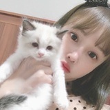爱猫咪不变心