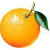 WhiteOrange