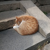 梦旅人
