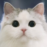 包子